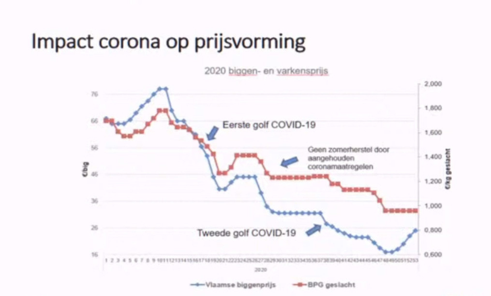 grafiek impact corona varkensprijs