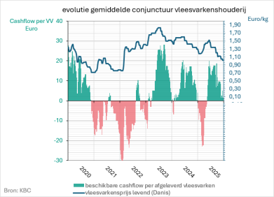 Vleesvarkensbedrijf conjuctuurbarometer vierde kwartaal 2025