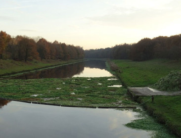 Hoe geraken invasieve exoten het land in?