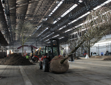 Vlaamse siertelers maken zich op voor Floraliën