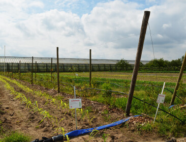 Een jaar voor deadline blijft doelstelling 5% bio-areaal veraf