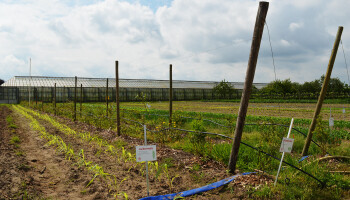 Een jaar voor deadline blijft doelstelling 5% bio-areaal veraf