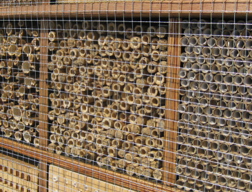 Wetenschappers waarschuwen voor zesde uitstervingsgolf