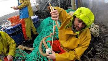 Steeds meer jongeren in visserijopleiding: "Minder gemis met internet aan boord"