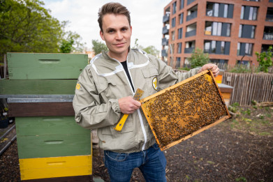 Ook worden er bijen gehouden op het dak van Pakt
