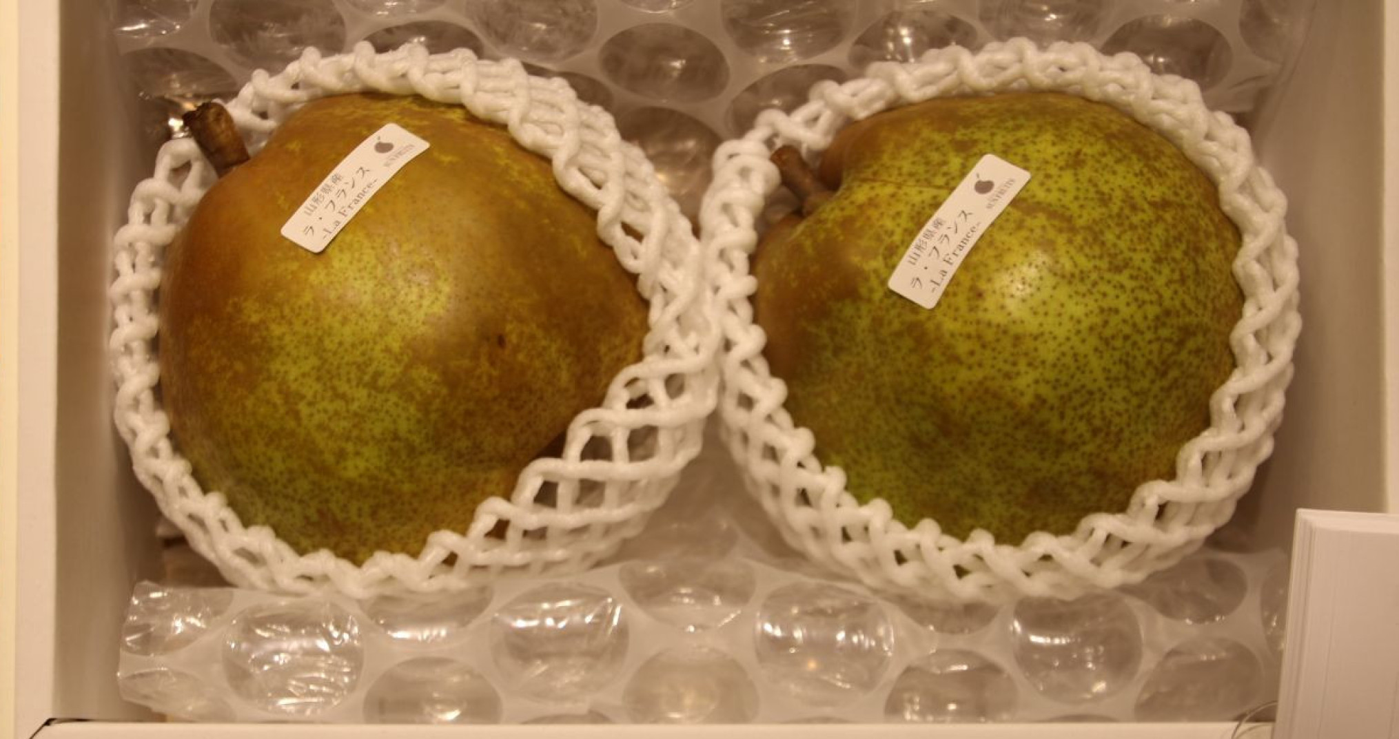Peren Japan