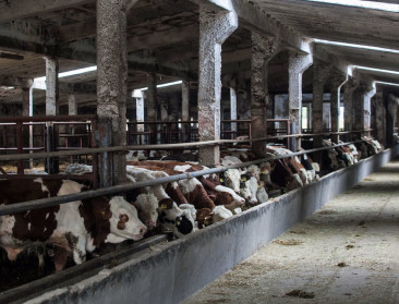 Oost-Europese lidstaten willen groter deel van GLB-pot