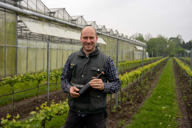 Diederik Vandersteene met wijnfles in wijngaard voor de serre