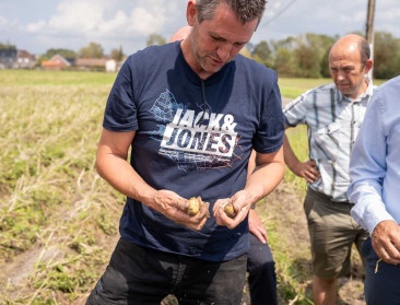 Landbouwers likken wonden na hevige hagelbuien van vorige week