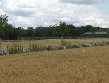 "Metaforum laat agro-ecologie onderbelicht"