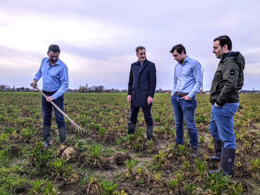 Veld Rotte Premier De Croo op het veld tussen rotte wortelen: “Dit is dramatisch ...