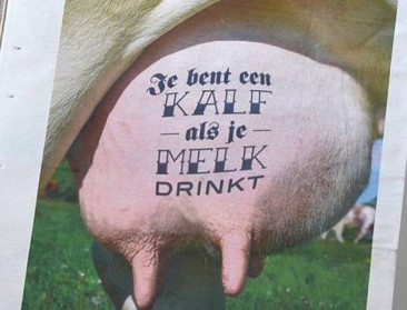 EVA wil Solidariteitsprijs winnen met anti-melkcampagne