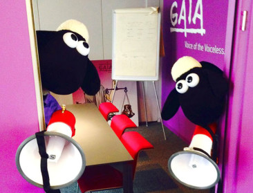 Duizenden mensen betogen tegen onverdoofd slachten 