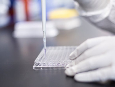 Moderna krijgt 590 miljoen voor ontwikkeling vogelgriepvaccin