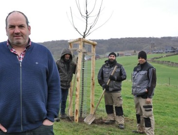 Fruitbomen in de strijd tegen hitte