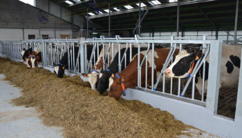 Nieuwe optimalisatietools voor melkveehouders