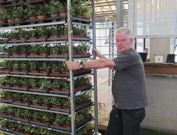 "Laat ons een bloem": Sierteeltgemeenten voelen dure energie en schaalvergroting