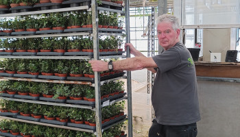 "Laat ons een bloem": Sierteeltgemeenten voelen dure energie en schaalvergroting