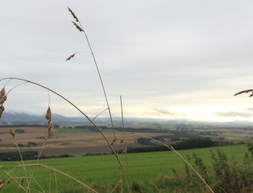 Britse overheid gaat EU-landbouwsubsidies compenseren