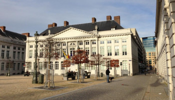 Vlaamse onderhandelaars schuiven stikstofdebat nog even voor zich uit