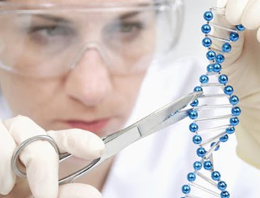 Europese Raad zet licht op groen voor gentechnologie NGT's