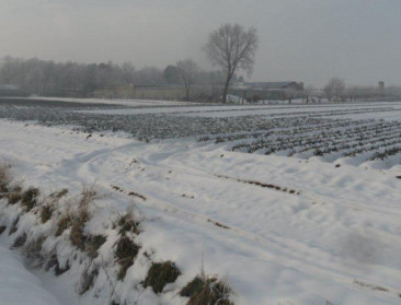 Europa solidariseert schade door natuurrampen
