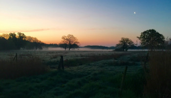 SALV pleit voor breed gedragen implementatie van de natuurherstelwet