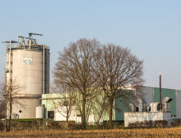 Bermgras kan 13.000 gezinnen van elektriciteit voorzien