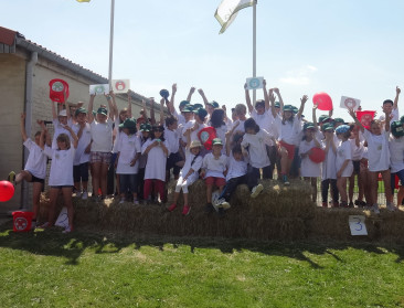 Agri-Olympiade zorgt voor verrassende boerderijdag