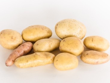 Ken jij alle leden van de Potato-club?