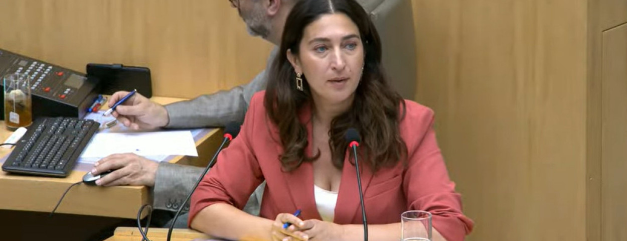 zuhal demir vlaams parlement
