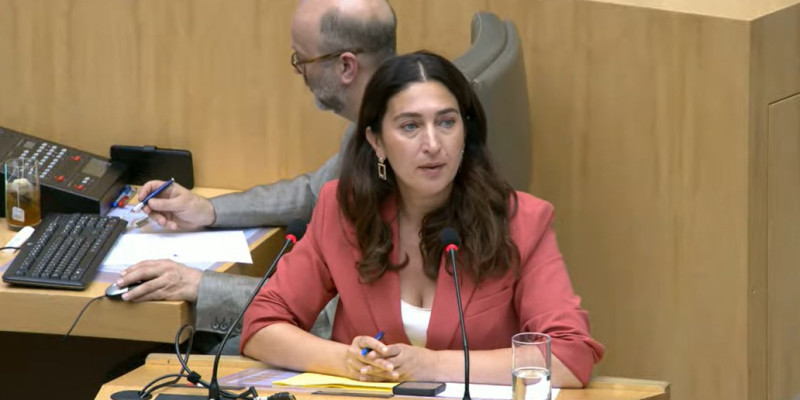 zuhal demir vlaams parlement