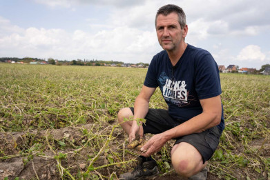 Jan Lamberts op zijn door hagel verwoeste aardappelperceel