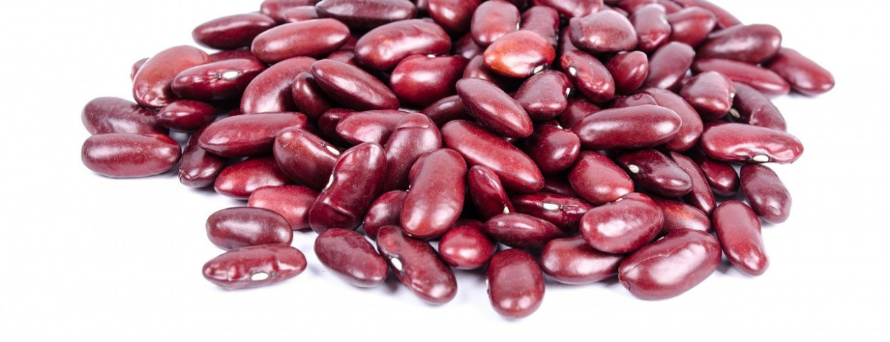 rode bonen kidney beans-315506_1280