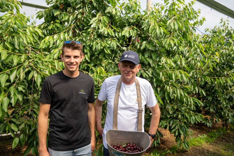 Gertjan Hereijgers met Lu Adriaensen, kersentelers Hoogstraten