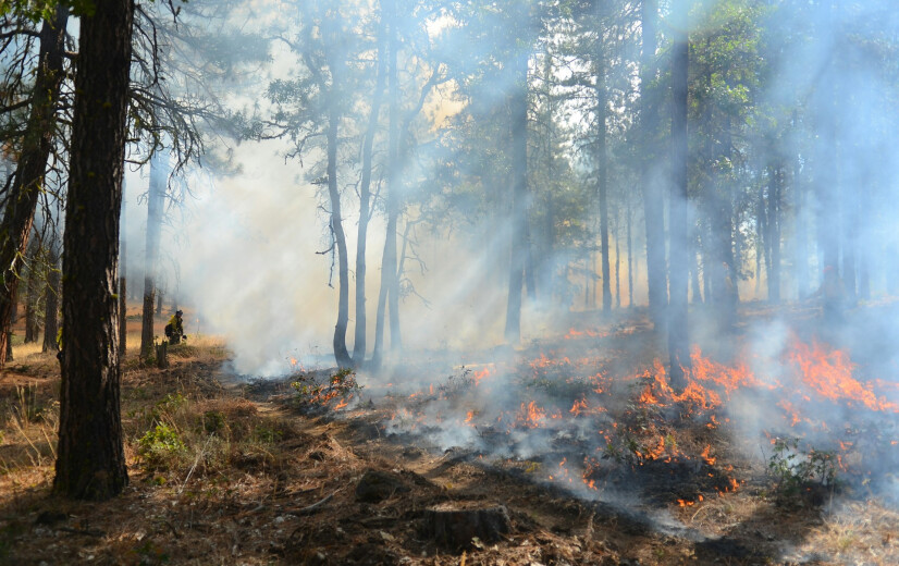 Brandweer en boeren strijden samen tegen brand Hoge Venen