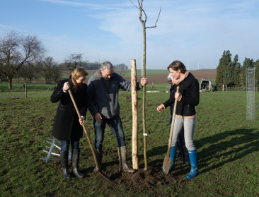 PDPO-project doet Haspengouws fruitlandschap herleven