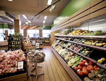 Trendwatcher: "Marktsucces kan bio pioniersrol kosten"