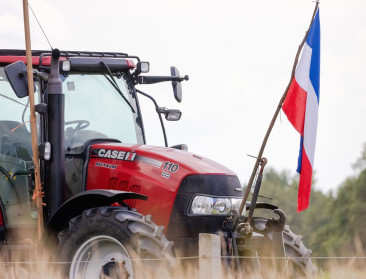 Nederland stelt stikstofdeadline uit naar 2035, drastische koerswijziging in beleid