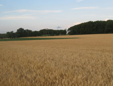 Alle Vlaamse gemeenten krijgen een landbouwpaspoort