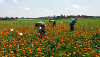 Wat betekenen de provincies voor de landbouw?