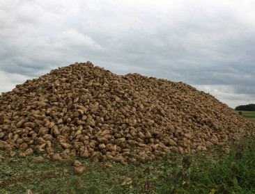 EU start met marktobservatie voor akkerbouwproducten