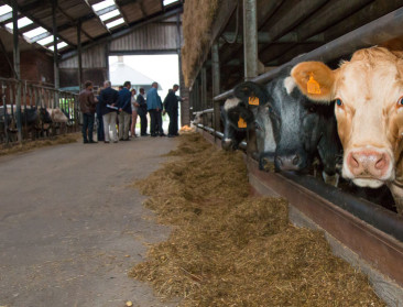 Betere spreiding inkomenssteun in Vlaanderen dan in EU