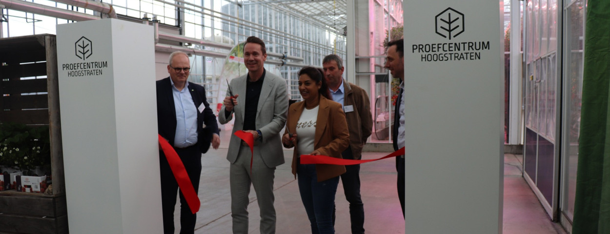 Brouns opent serre in Hoogstraten