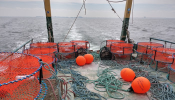 België tekent verzet aan tegen EU-plannen voor verduurzaming visserijsector