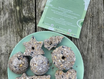 BirdBites valoriseert reststroom uit bierbrouwproces tot duurzame mezenbollen