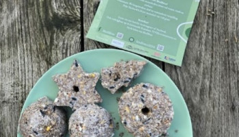BirdBites valoriseert reststroom uit bierbrouwproces tot duurzame mezenbollen