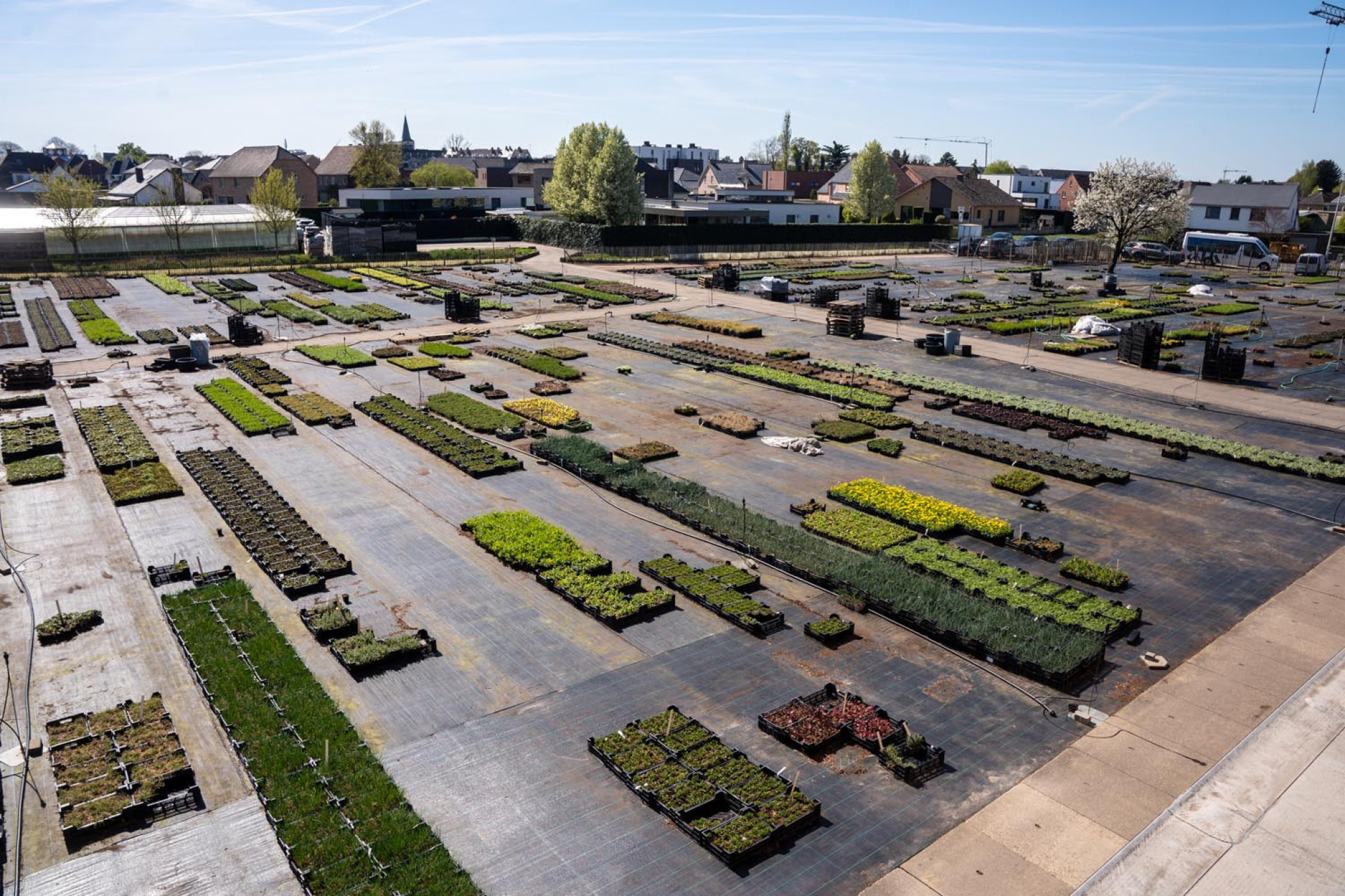 Vaste plantenkwekerij Botanisk