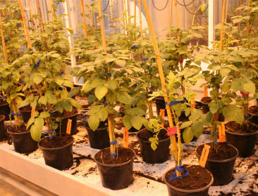 OESO: Wereldwijde landbouwinnovatie daalt