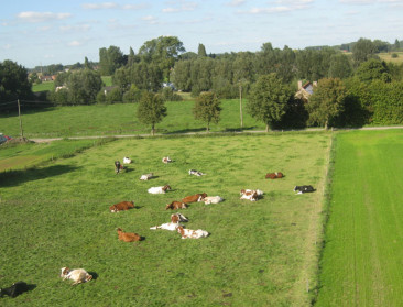 44 procent van Belgische bodem is landbouwgrond